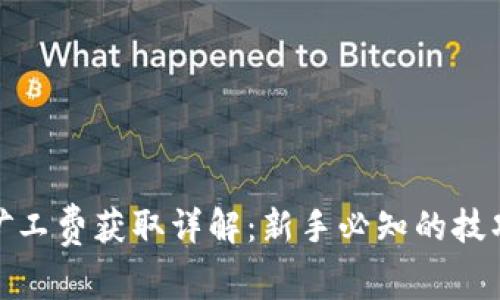 TP钱包矿工费获取详解:新手必知的技巧与经验
