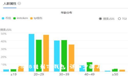 如何将BNB转到TP钱包：详细步骤与注意事项
