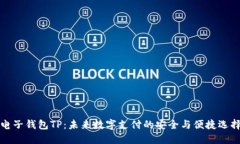 电子钱包TP：未来数字支付的安全与便捷选择