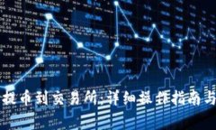 如何从TP钱包提币到交易所：详细操作指南与常见