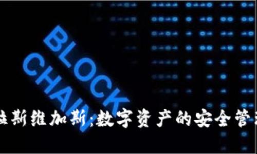 TP钱包拉斯维加斯：数字资产的安全管理与应用