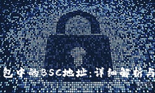 解密TP钱包中的BSC地址：详细解析与使用指南